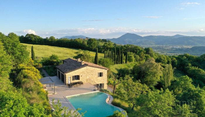  Montone 4