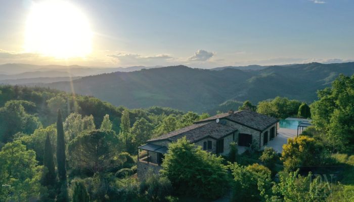  Montone 5