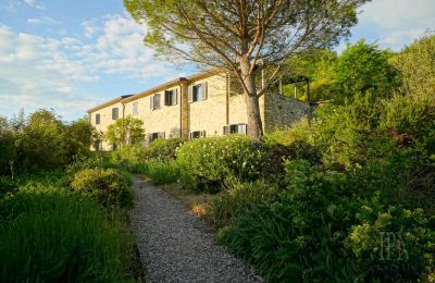 Country home for sale 06014 Montone, Umbria, Photo 10/50