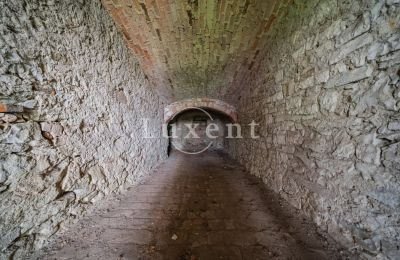 Castle for sale Vršovice, Zámek Vršovice, Ústecký kraj, Photo 11/35