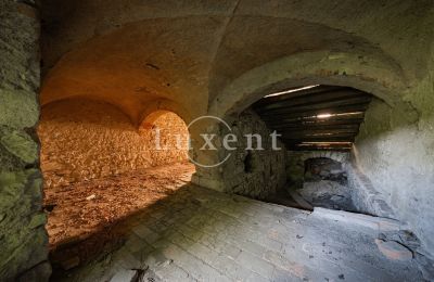Castle for sale Vršovice, Zámek Vršovice, Ústecký kraj, Photo 12/35