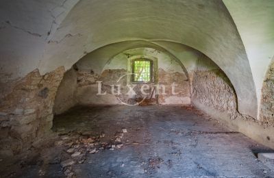 Castle for sale Vršovice, Zámek Vršovice, Ústecký kraj, Photo 13/35