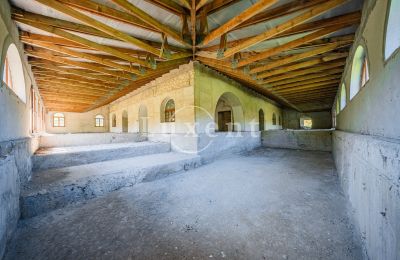 Castle for sale Vršovice, Zámek Vršovice, Ústecký kraj, Photo 27/35