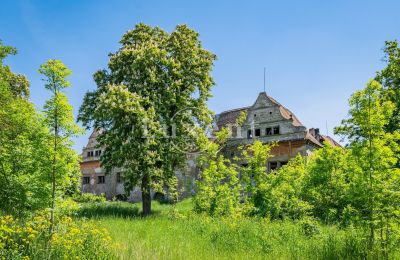 Castle for sale Vršovice, Zámek Vršovice, Ústecký kraj, Photo 32/35