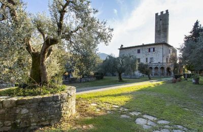 Medieval Castle for sale Croci di Calenzano, Tuscany, Garden
