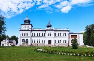 Castle for sale Osiek, Pałac w Osieku, Lesser Poland, Exterior View