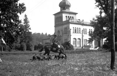 Castle for sale Osiek, Pałac w Osieku, Lesser Poland, Historic View