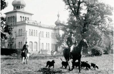 Castle for sale Osiek, Pałac w Osieku, Lesser Poland, Historic View