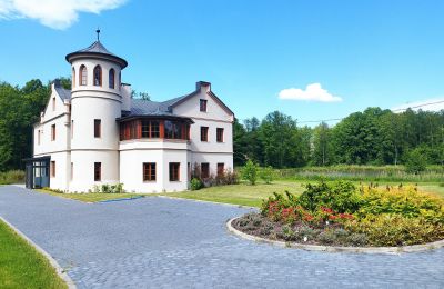 Castle for sale Osiek, Pałac w Osieku, Lesser Poland, Outbuilding