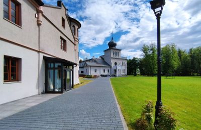 Castle for sale Osiek, Pałac w Osieku, Lesser Poland, Photo 21/38