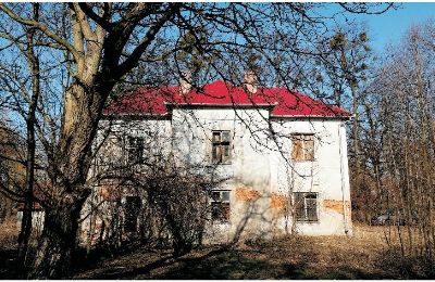 Castle for sale Osiek, Pałac w Osieku, Lesser Poland, Photo 24/38