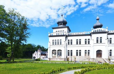 Castle for sale Osiek, Pałac w Osieku, Lesser Poland, Photo 27/38