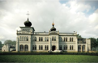 Castle for sale Osiek, Pałac w Osieku, Lesser Poland, Visualization