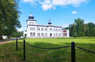 Castle for sale Osiek, Pałac w Osieku, Lesser Poland, Pałac w Osieku