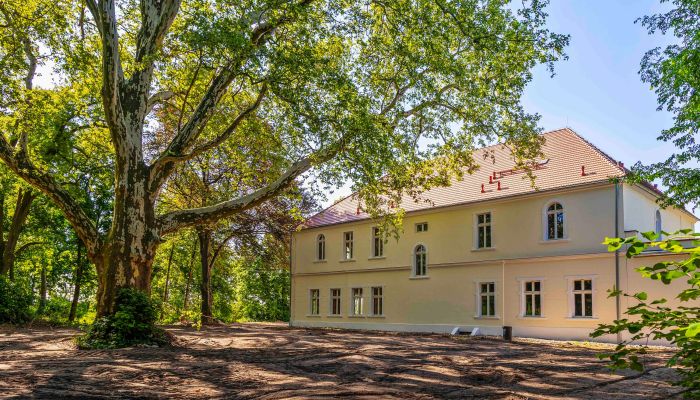  Środa Śląska 5