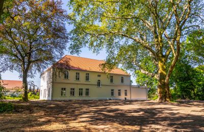 Castle for sale Środa Śląska, Pałac w Wojczycach, Lower Silesia, Photo 4/23