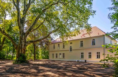 Castle for sale Środa Śląska, Pałac w Wojczycach, Lower Silesia, Photo 5/23