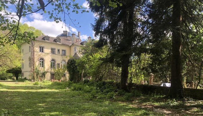 Castle for sale Pontacq, New Aquitaine,  France