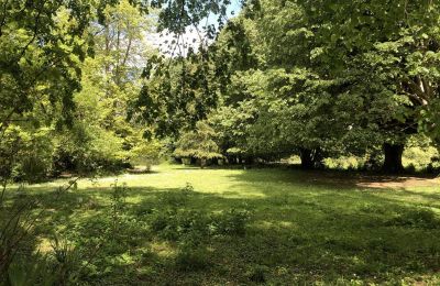 Castle for sale Pontacq, New Aquitaine, Palace Garden