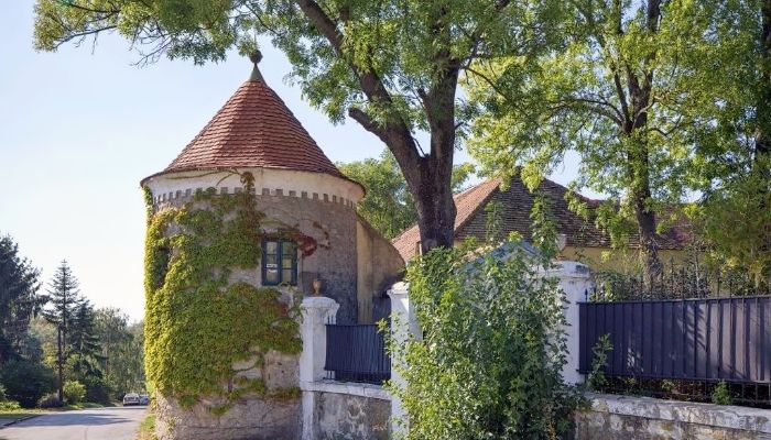 Manor House for sale Trnavský kraj, okres Hlohovec, Koplotovce,  Slovakia