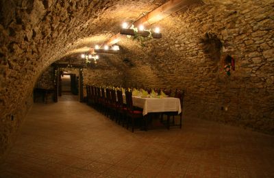 Manor House for sale Trnavský kraj, okres Hlohovec, Koplotovce, Frídeský kaštieľ, Region of Trnava, Photo 17/31