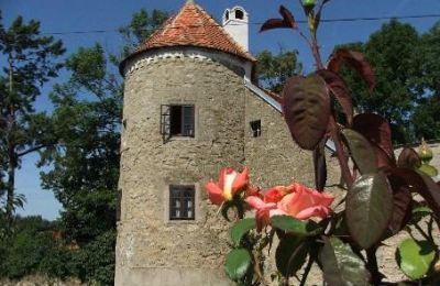 Manor House for sale Trnavský kraj, okres Hlohovec, Koplotovce, Frídeský kaštieľ, Region of Trnava, Photo 3/31