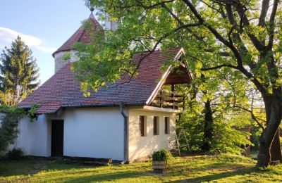 Manor House for sale Trnavský kraj, okres Hlohovec, Koplotovce, Frídeský kaštieľ, Region of Trnava, Outbuilding