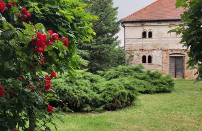 Manor House for sale Trnavský kraj, okres Hlohovec, Koplotovce, Frídeský kaštieľ, Region of Trnava, Garden