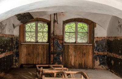 Manor House for sale Virķēni, Virķēnu muiža, Vidzeme, Basement