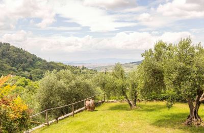 Historic Villa for sale Villamagna, Tuscany, Photo 48/50