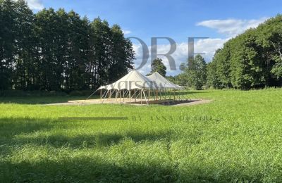 Manor house for sale Mińsk Mazowiecki, Mazovia, Photo 4/12