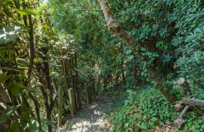 Historic Villa for sale Montecalvoli, Tuscany, Photo 39/44