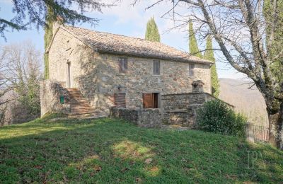 Country home for sale Cortona, Tuscany, Photo 8/35