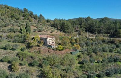 Country home for sale 06010 Monte Santa Maria Tiberina, Umbria, Photo 3/28