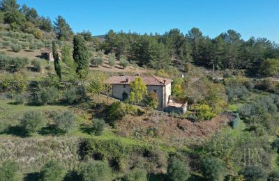 Country home for sale 06010 Monte Santa Maria Tiberina, Umbria, Photo 4/28
