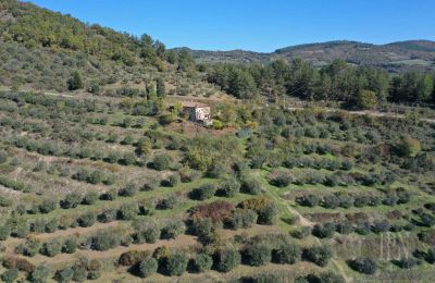 Country home for sale 06010 Monte Santa Maria Tiberina, Umbria, Photo 5/28