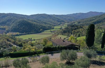 Country home for sale 06010 Monte Santa Maria Tiberina, Umbria, Photo 7/28