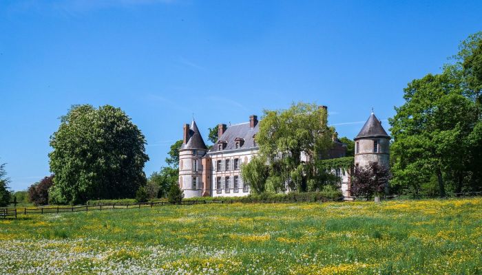 Castle for sale Sens, Burgundy-Franche-Comté,  France