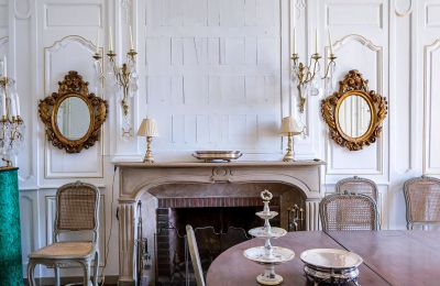 Castle for sale Sens, Burgundy-Franche-Comté, Photo 5/10