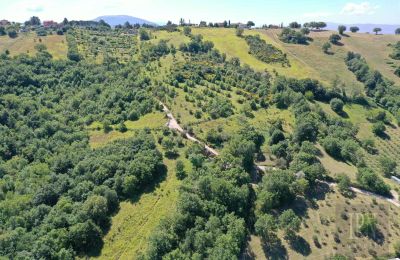 Country home for sale Perugia, Umbria, Photo 6/23