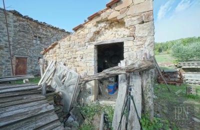 Historic villa for sale Monterchi, Tuscany, Photo 14/24