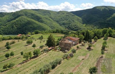 Historic villa for sale Monterchi, Tuscany, Photo 2/24