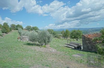 Historic villa for sale Monterchi, Tuscany, Photo 22/24