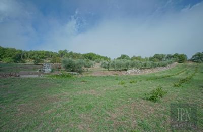 Historic villa for sale Monterchi, Tuscany, Photo 23/24