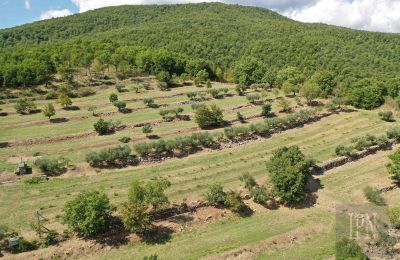 Historic villa for sale Monterchi, Tuscany, Photo 24/24