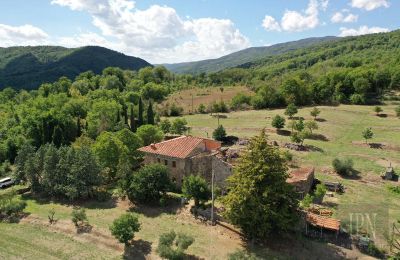 Historic villa for sale Monterchi, Tuscany, Photo 3/24