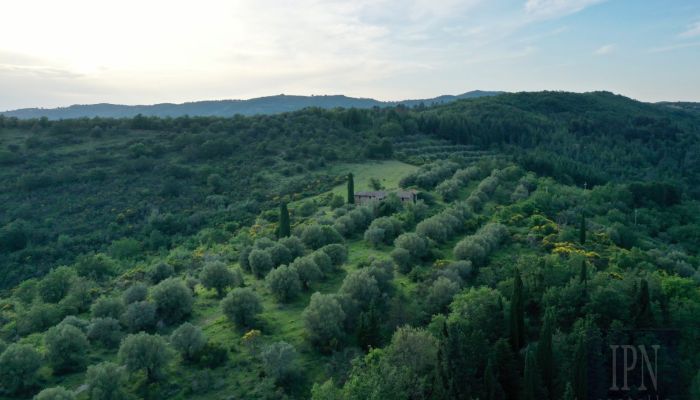  Corciano 5
