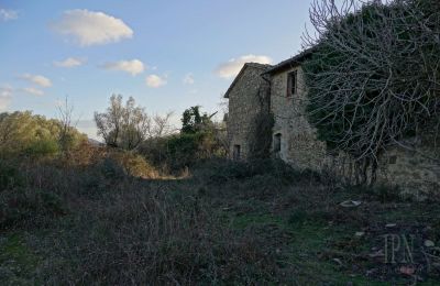 Country property for sale 06073 Corciano, Umbria, Photo 26/42