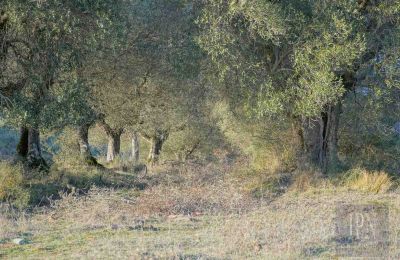 Country property for sale 06073 Corciano, Umbria, Photo 32/42
