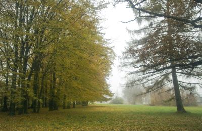 Historic park for sale Skorki, Mazovia,, Palace Garden
